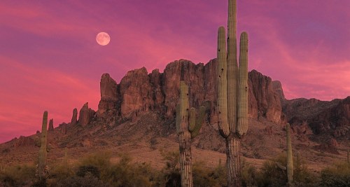 Phoenix Mesa, Arizona