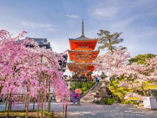 Tokyo, Japan during cherry blossom season